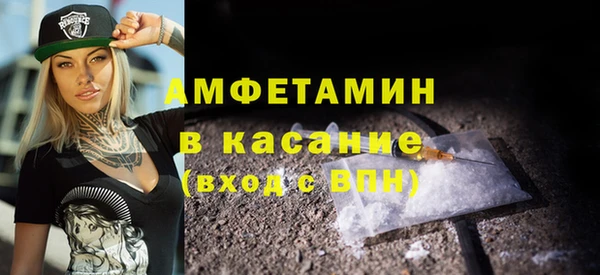 сатива Елизово