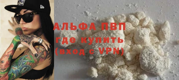 сатива Елизово
