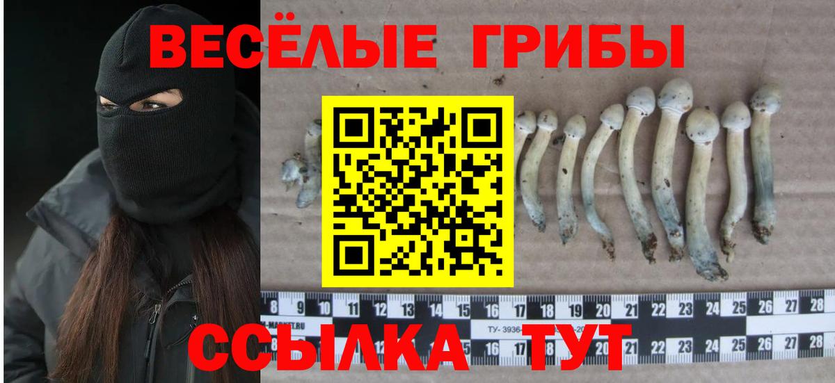 Узловая  Галлюциногенные грибы мухоморы  Вход с VPN 