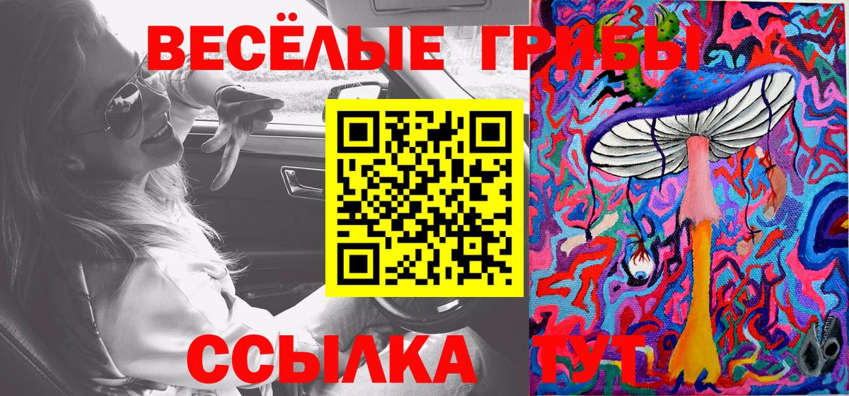 Псилоцибиновые грибы Cubensis Узловая