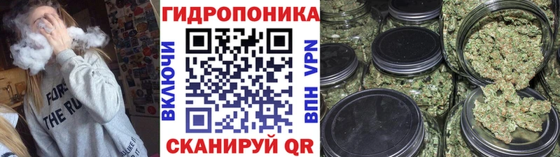 Бошки марихуана ГИДРОПОН  Узловая 