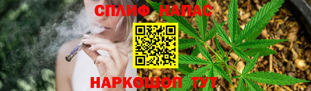 Шишки марихуана OG Kush Узловая